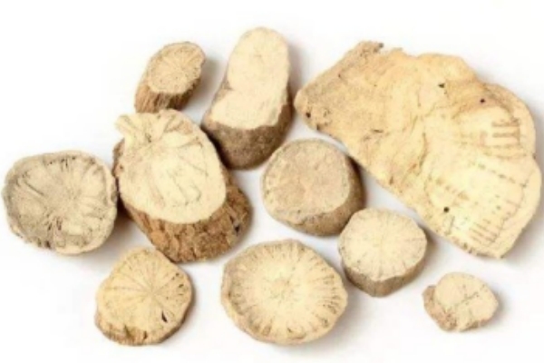 Stephania supplement.jpg
